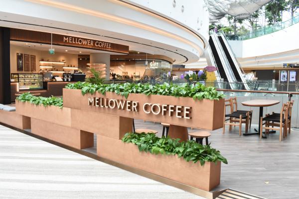 Image for New Mellower Coffee Outlet at Jewel Changi Airport artilce