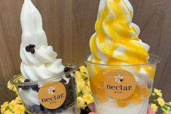 Image for New Nectar Outlet at Jewel Changi artilce