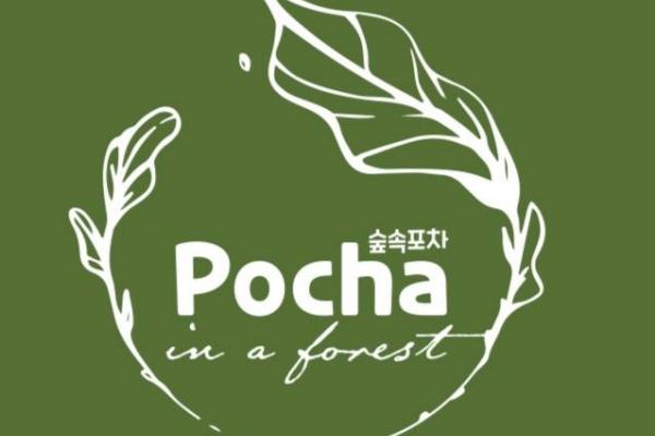 Image for New Pocha In A Forest Outlet at Bencoolen artilce