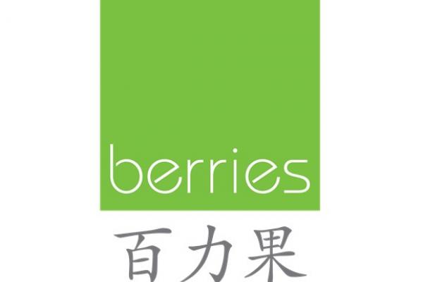Image for New Berries World Outlet at Woodleigh Mall artilce